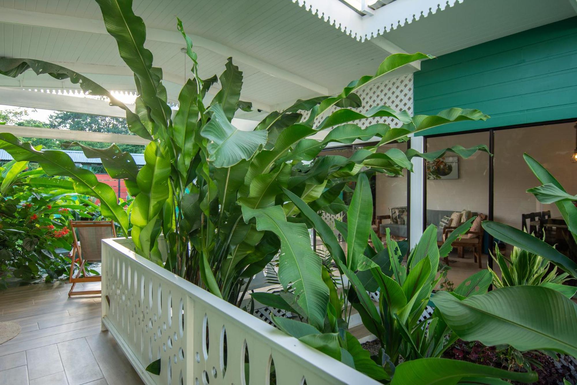Namaitami Casa Hermosa Con Ac Y Piscina A Solo 650 Metros Del Parque Nacional カウイータ エクステリア 写真